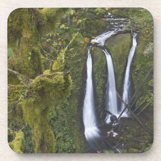 トリプル滝、コロンビアリバー峡谷 コースター (正面)