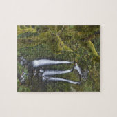 トリプル秋、コロンビアリバーゲージ ジグソーパズル (横)