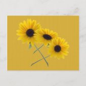 トリプル サンキライ お好きな写真をカスタマイズ ポストカード (正面)