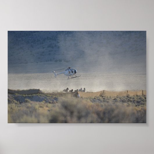 トリプルBラウンドアップビュットバレーネバダポスター ポスター (正面)