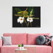 トリホピリアトルティリス キャンバスプリント (インサイチュ (リビング))