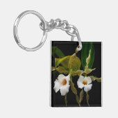 トリホピリアトルティリス キーホルダー (正面左)