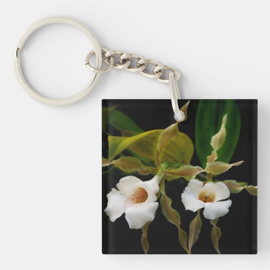 トリホピリアトルティリス キーホルダー (正面)