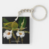 トリホピリアトルティリス キーホルダー (裏面)