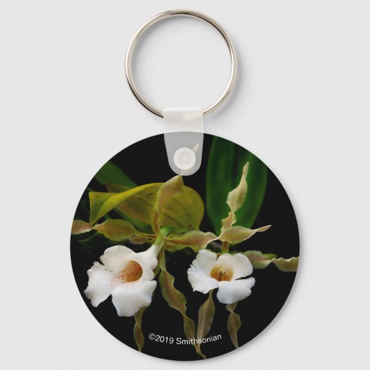 トリホピリアトルティリス キーホルダー (正面)