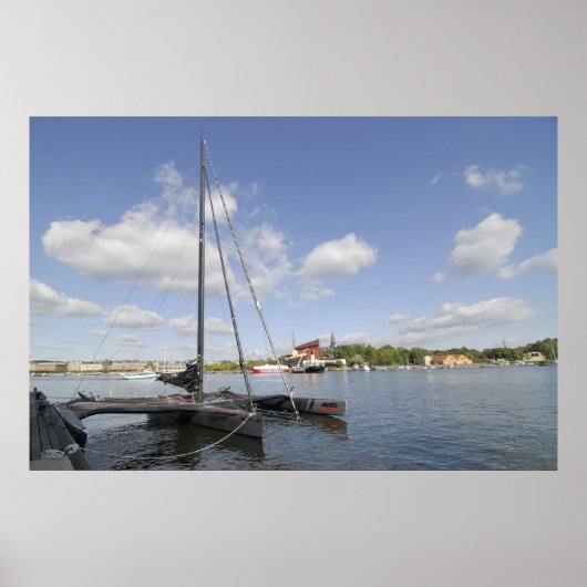 トリマラン ポスター (正面)