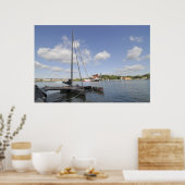 トリマラン ポスター (キッチン)