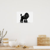 トリミングされた黒いプードル ポスター (キッチン)