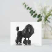 トリミングされた黒いプードル ポストカード (スタンド正面)