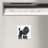トリミングされた黒いプードル マグネット (インサイチュ (食洗機))