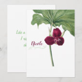 トリリウムの植物学 シーズンカード (正面/裏面)