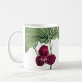 トリリウム植物学 コーヒーマグカップ (左)