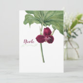 トリリウム植物学 シーズンカード (スタンド正面)