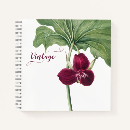 トリリウム植物学 ノートブック (正面)