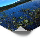 トリリウム湖、または ポスター (角)