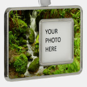 トリリウム秋アットレッドウッド国立公園 シルバープレートフレームオーナメント (右)