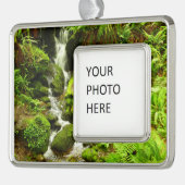 トリリウム秋アットレッドウッド国立公園 シルバープレートフレームオーナメント (左)