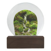 トリリウム秋アットレッドウッド国立公園 スノーグローブ (裏面)