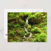 トリリウム秋アットレッドウッド国立公園 ポストカード (正面/裏面)