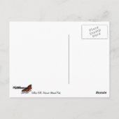 トリリウム秋アットレッドウッド国立公園 ポストカード (裏面)