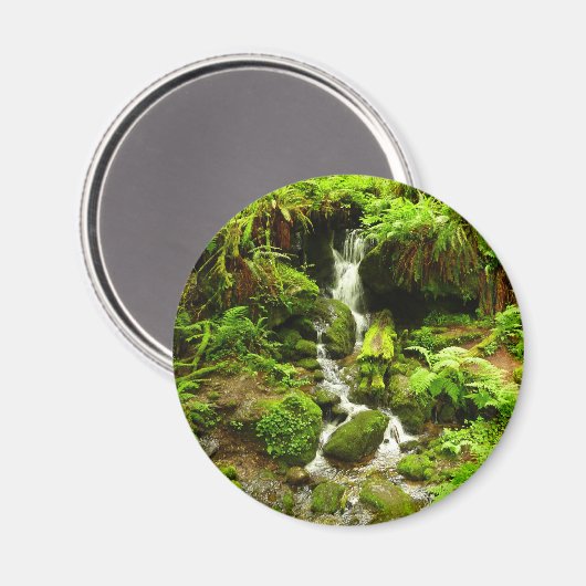 トリリウム秋アットレッドウッド国立公園 マグネット (正面/裏面)