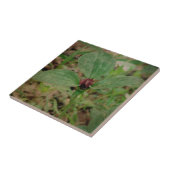 トリリウム花 タイル (側面)