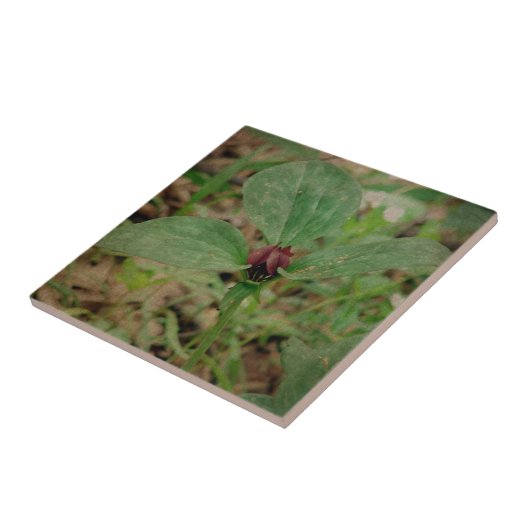 トリリウム花 タイル (側面)