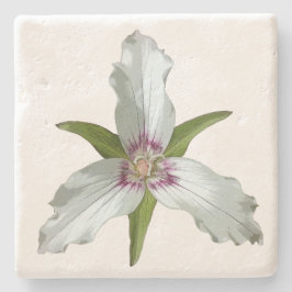 トリリ色彩の鮮やかウム春ワイルドフラワーストーンコースター ストーンコースター