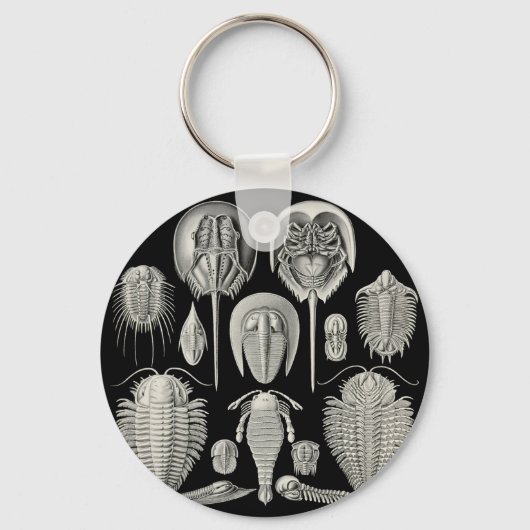 トリロバイト！ キーホルダー (正面)