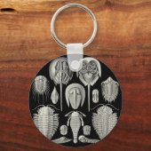 トリロバイト！ キーホルダー (正面)