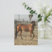 「トリンケット」 ポストカード (スタンド正面)