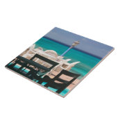 トルカリブのクとカイコス、グランドターク島 タイル (側面)