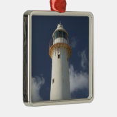 トルカリブのクとカイコス、グランドターク島、2 メタルオーナメント (右)