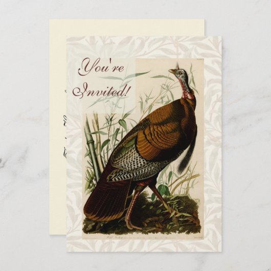 トルキーワイルドアウドゥボン鳥の絵 招待状 (正面/裏面)