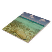 トルクとカイコス、グランドターク島、コックバーン2 タイル (側面)