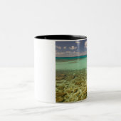 トルクとカイコス、グランドターク島、コックバーン2 ツートーンマグカップ (中央)