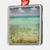 トルクとカイコス、グランドターク島、コックバーン2 メタルオーナメント (左)