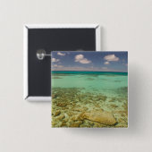 トルクとカイコス、グランドターク島、コックバーン2 缶バッジ (正面&裏面)