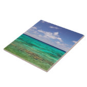 トルクとカイコス、グランドターク島、コックバーン3 タイル (側面)