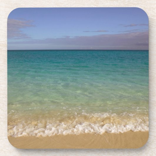 トルクとカイコス、プロウィデンシアレス島、グレース2 コースター (正面)