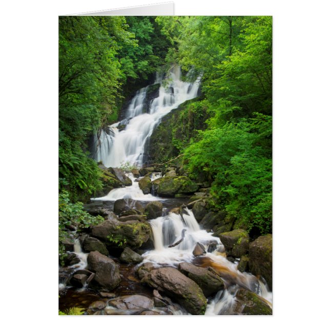 トルクの滝の名勝（アイルランド） (正面)