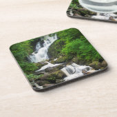 トルクの滝の名勝(アイルランド) コースター (左側)