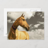 トルクメニスタンの金馬 ポストカード (正面/裏面)