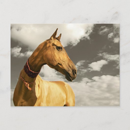 トルクメニスタンの金馬 ポストカード (正面)