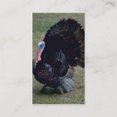 トルコおもしろいプロファイルカード 名刺 (裏面)