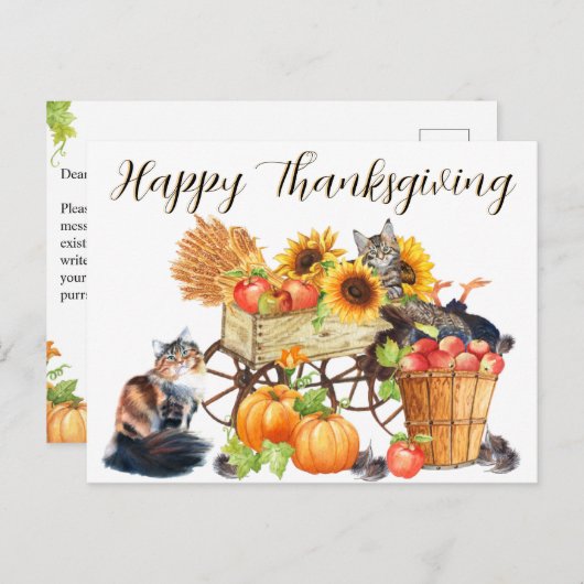 トルコって?無邪気な猫たち,幸せな感謝祭, P ポストカード (正面/裏面)