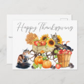 トルコって？無邪気な猫の感謝状はがき ポストカード (正面/裏面)