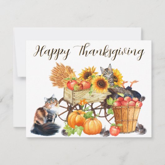 トルコって?罪のない猫、幸せな感謝祭。 カード (正面)