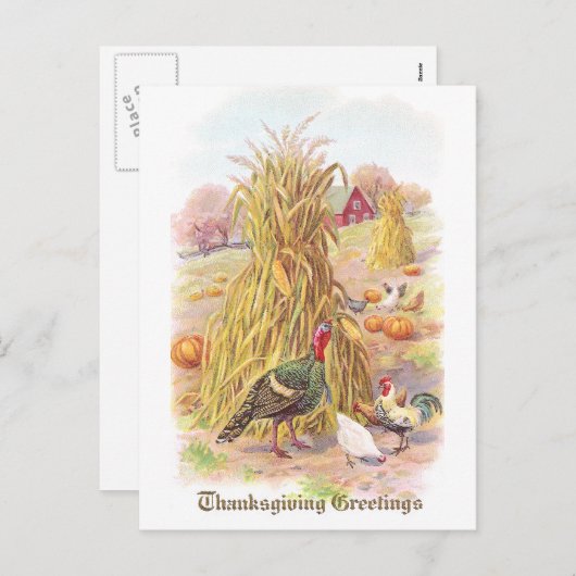 トルコと鶏の群れヴィンテージ感謝祭 シーズンポストカード (正面/裏面)