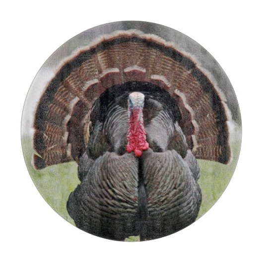 トルコのガラスまな板 カッティングボード (正面)